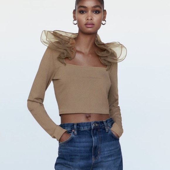 Zara Tops - Zara Ruffle Organza Top NWT